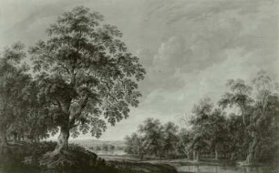 Flußdurchströmte Waldlandschaft