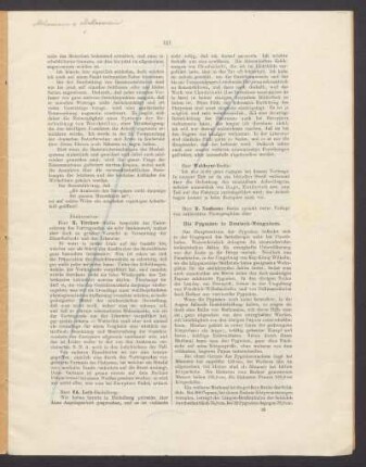 Die Pygmäen in Deutsch-Neuguinea.