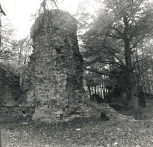Oschatz-Altoschatz. Schloss Osterland (Jagdschloss Kaiser Friedrichs II.). 1211/1230. Teilansicht der Ruine