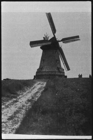 Schwedt/Oder-Heinersdorf. Mühle Stein, Holländermühle, Repro