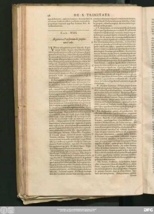Cap. VIII. Argumenta Papistarum de proprietate Verbi.