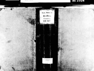 Seelbach OG; Katholische Gemeinde: Geburtenbuch 1810-1822