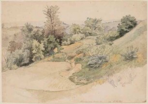 Der Plauensche Grund zwischen Dresden und Freital, Landschaft