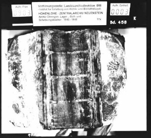 Gült- und Schatzungsbuch über Untereppach, Kesselfeld, Obereppach, Waldsall, Tannen, Lohe, Grünbühl, Wüchern, Löschenhirschbach, Emmertshof, Döttenweiler, Großhirschbach, Kleinhirschbach, Stolzeneck, Steinsfürtle, Haberhof.