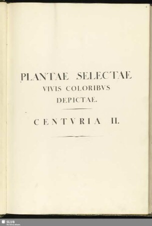 2: Plantae selectae vivis coloribus depictae. Band 2 - Mscr.Dresd.App.3413,Bd.2