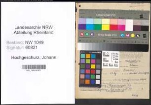 Entnazifizierung Johann Hochgeschurz , geb. 25.11.1894 (Betriebspruefer)