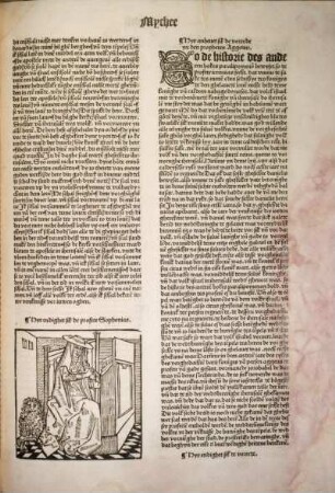 [Hyr anheuet sik de vorrede yn den propheten Aggeum.]