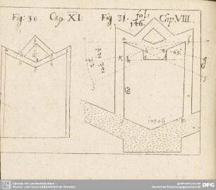 Fig: 30. Cap. XI. / Fig 31. fol: 146. Cap. VIII.