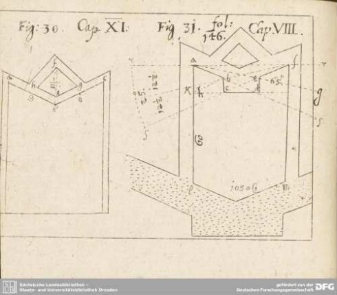 Fig: 30. Cap. XI. / Fig 31. fol: 146. Cap. VIII.