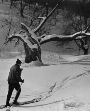 Dresden. Zwei Skifahrer am Stadtrand