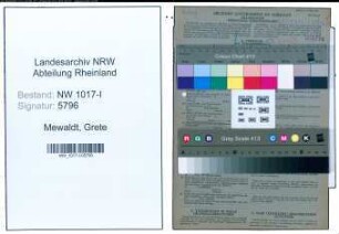 Entnazifizierung Grete Mewaldt , geb. 04.04.1885 (Textilkauffrau)