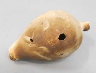 Schneckengehäuse (ovula ovum)