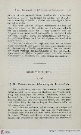 Siebentes Capitel: Brust
