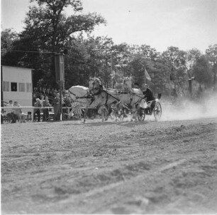 Reiterspiele in Markkleeberg. Galloppierendes Dreiergespann