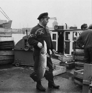 Fischereigenossenschaft Stralsund (FGS). Fischer auf dem Kutter "Hein Dornquast"