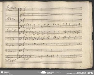 Cavatina: "Quando vede la sposa mia bella"