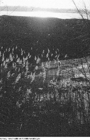 Rösa-Brösa (Kreis Bitterfeld), Landschaften, 1957
