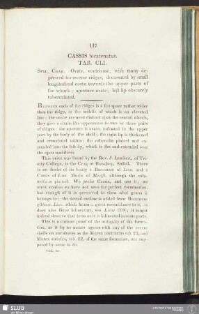 Cassis bicatenatus. Tab. CLI