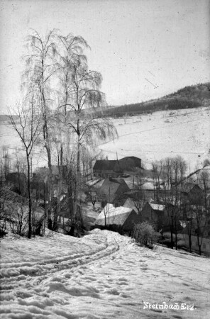 Blick vom "Hanse-Mannl" ins Dorf : Bildmitte: Elmer-Gut ( Oelmann), dahinter: Soler-Gut (Beyer)
