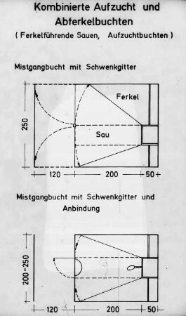 Kombinierte Aufzucht- und Abferkelbuchten (Ferkelführende Sauen, Aufzuchtbuchten)