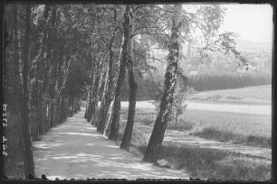 Löbau. Blick auf Löbau