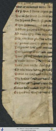 Remedia Amoris, Fragment
