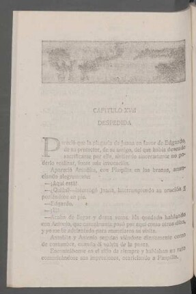 Capítulo XVII - Despedida