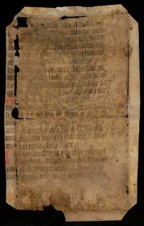 [Psalterium feriatum]; Ps 65-67