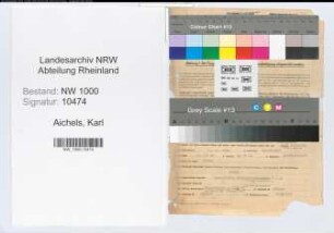 Entnazifizierung Karl Aichels, geb. 31.12.1900 (Angestellter)