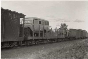 Güterzug auf der Strecke Campo Grande - Aquidauana