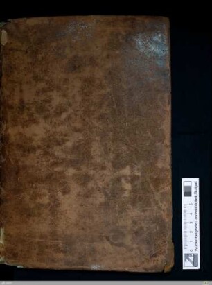 Biblia latina - Cod.bibl.fol.14