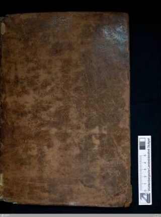 Biblia latina - Cod.bibl.fol.14