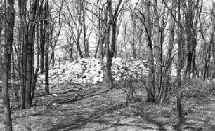 Schöpstal-Kunnersdorf. Trümmer der Holländermühle auf dem Kapellenberg