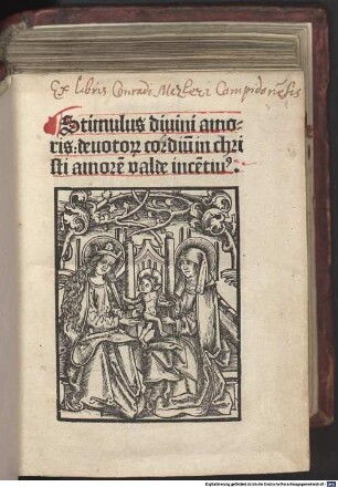 Stimulus divini amoris