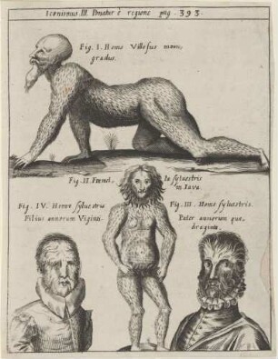 Iconismus III. Ponatur à regione