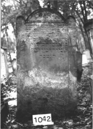 Grabstein 1042 (Index: 99899647) Material: Sandstein Zustand: fast völlig verwittert Maße HxBxT: 128x68x11 cm Beschreibung: Stele mit eingezogenem Rundbogenabschuss, Einzüge halbrund erhöht: Grabstein 1042