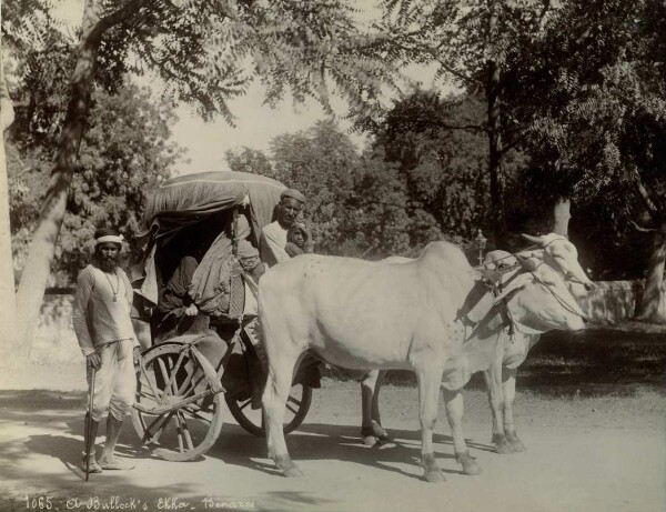 An Ekka