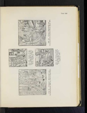 Tafel XIX Abb. 34. Ersatz-"Virtus" Holzschnitt aus Sebastian Brant, Stultifera Navis, Augsburg 1497.