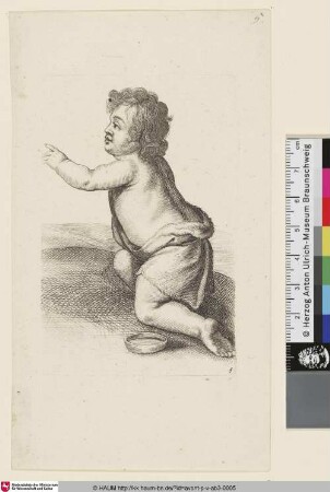 [Kniender Putto, nach links weisend]