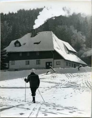 Skiläufer im Schwarzwald