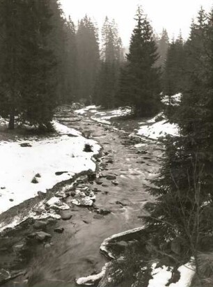 Schwarze Pockau bei der Teufelsmauer zur Zeit der Schneeschmelze