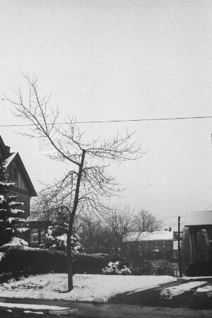 Schnee in Springfield (USA-Reise 1933)