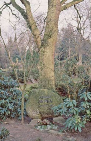 Hamburger Straße: Friedhof: Grabstein der Familie Janus