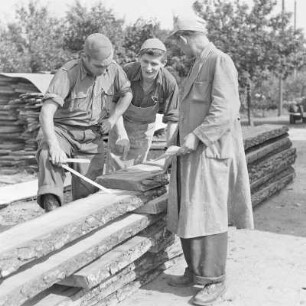 Holzlager in Byhleguhre. : Skład drjewa w Běłej Górje.