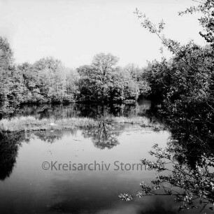 Lasbek-Gut: großer Mühlenteich: am Ufer Büsche und Bäume