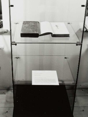 Raumaufnahme. Ausstellungsvitrine (Erdgeschoß) mit Illustrationen von R. Dreher zu Voltaire "Candide oder der Optimismus"