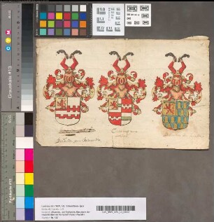 Stamlijsten en geslachtkundige aanteekeningen van de Brederode's en gekleurde wapens van Brederode van Bolswerdt, Cloetingh van Ween, en Brederode van Sauastre, 17e eeuw. 6 stukken.