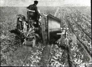 Siebradroder für Kartoffeln