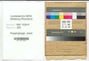 Entnazifizierung Josef Peppinghege , geb. 06.09.1891 (Angestellter)