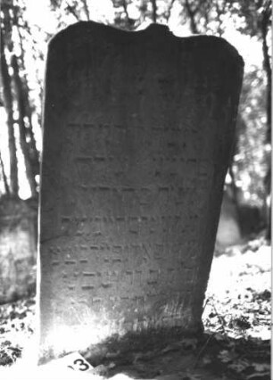 Grabstein 1193 (Index: 99899945) Material: Sandstein Zustand: stark verwittert Maße HxBxT: 110x57x10 cm Beschreibung: Stele mit eingezogenem Schulterbogenabschluss, im Bogenfeld Ranken Symbolik: Ranken: Grabstein 1193